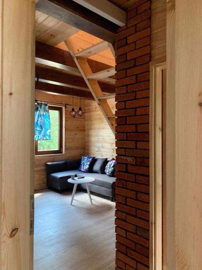 Nad Czarna Vila Sielpia Wielka Exterior foto